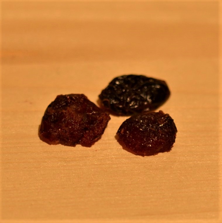 Cranberries getrocknet gesüsst Bio (CAN)